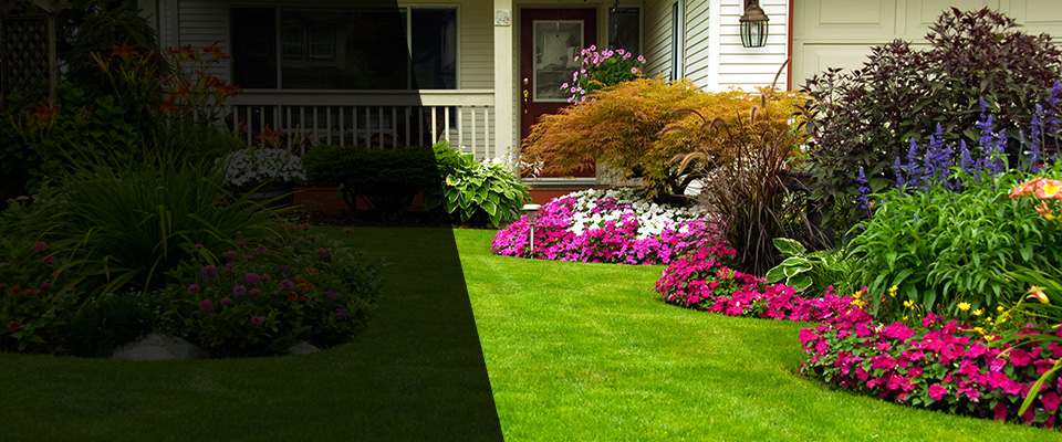 Richwood Landscapers