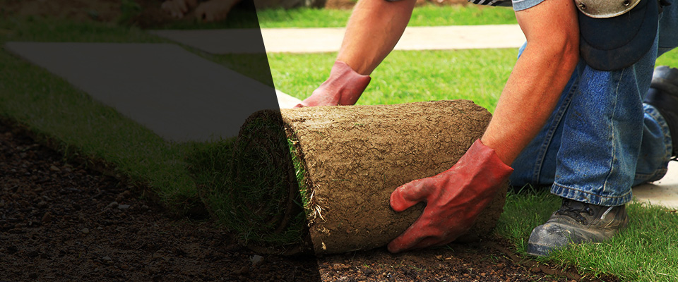Richwood Landscapers